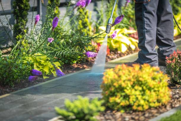 Best Restaurant Pressure Washing  in Abbeville, GA