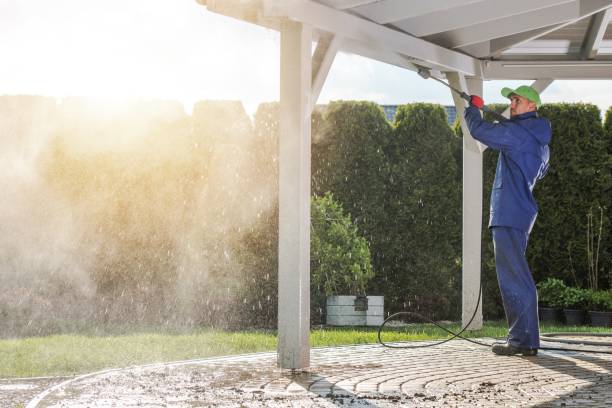 Best Rust Removal  in Abbeville, GA