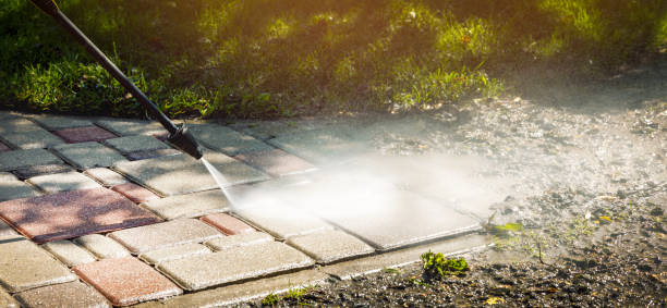 Best Driveway Pressure Washing  in Abbeville, GA